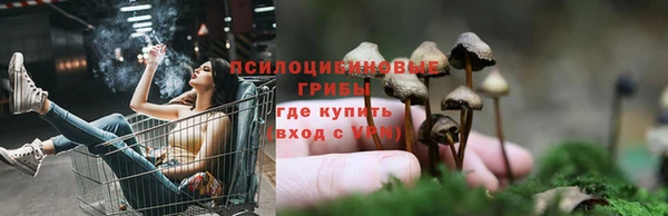мескалин Балахна