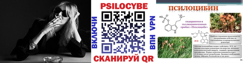 Галлюциногенные грибы мицелий  Купить закладки  Котлас 